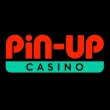 Pin-Up brand logo